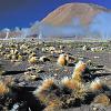 The Geysers del Tatio